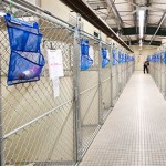facility-kennels